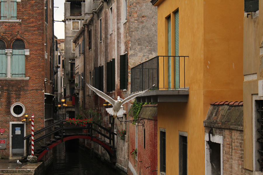 Near Rialto market